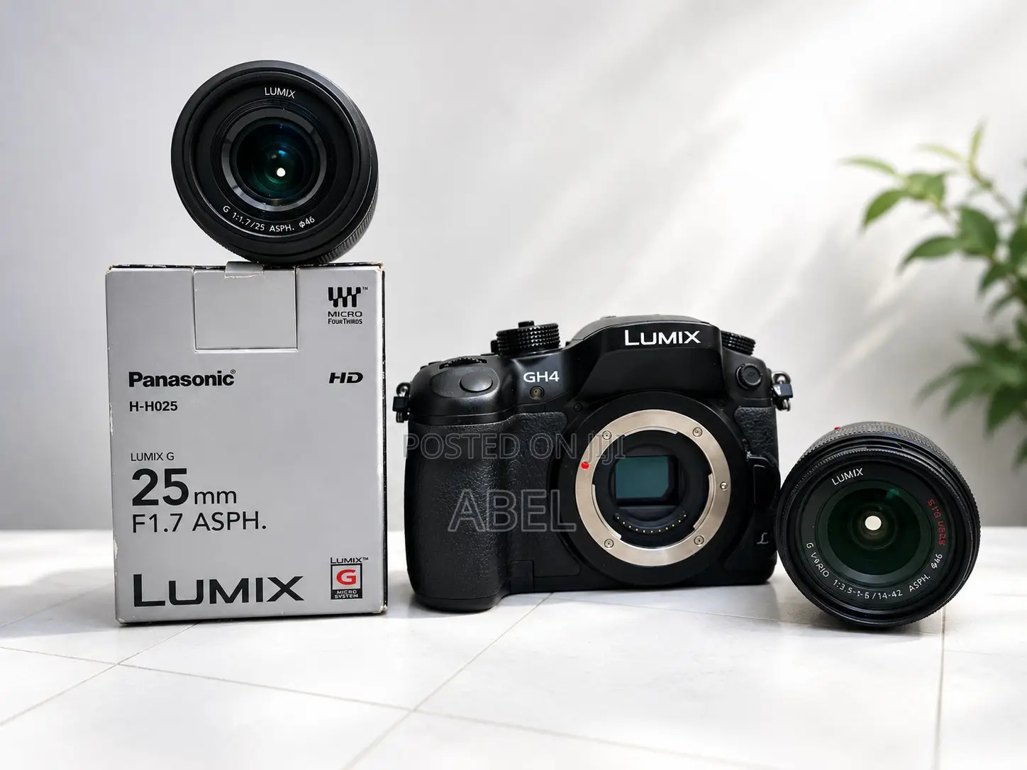 Panasonic Lumix Gh4 With 14-42mm Lens Plus 25mm F1.7 Asph Lens