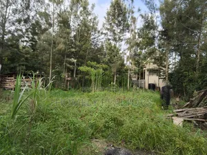 Residential Eighth Acre (50*100) Plot for Sale in Kerarapon Drive