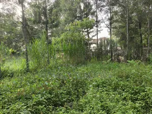 Residential Eighth Acre (50*100) Plot for Sale in Kerarapon Drive