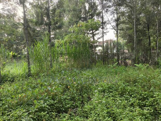 Residential Eighth Acre (50*100) Plot for Sale in Kerarapon Drive - thumbnail 3