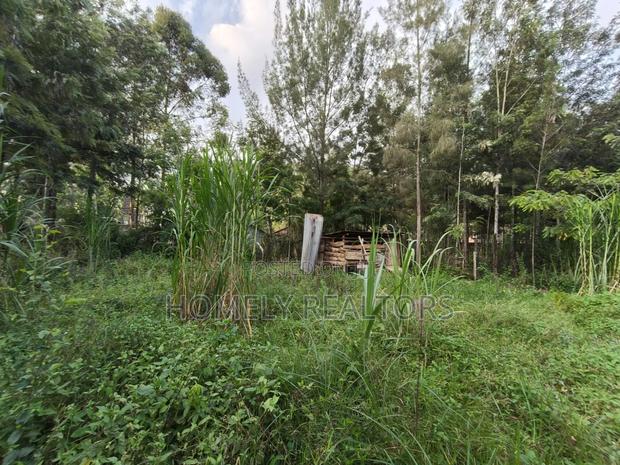 Residential Eighth Acre (50*100) Plot for Sale in Kerarapon Drive - thumbnail 4
