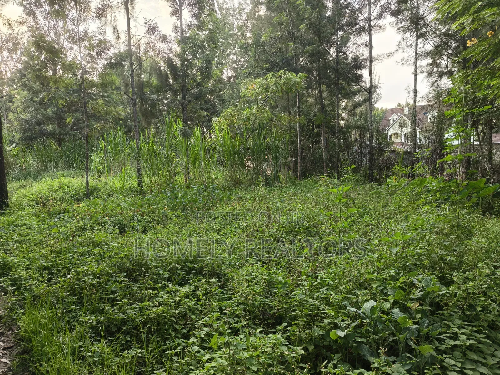 Residential Eighth Acre (50*100) Plot for Sale in Kerarapon Drive