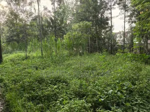 Residential Eighth Acre (50*100) Plot for Sale in Kerarapon Drive