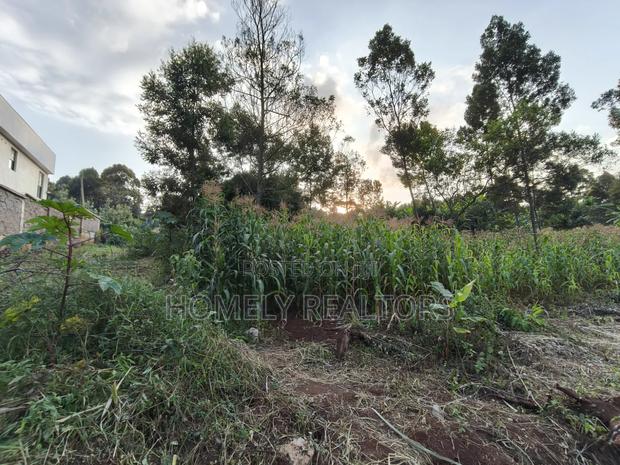 Affordable Eighth Acre Plot for Sale in Kerarapon Drive. Red Soil Land - thumbnail 2