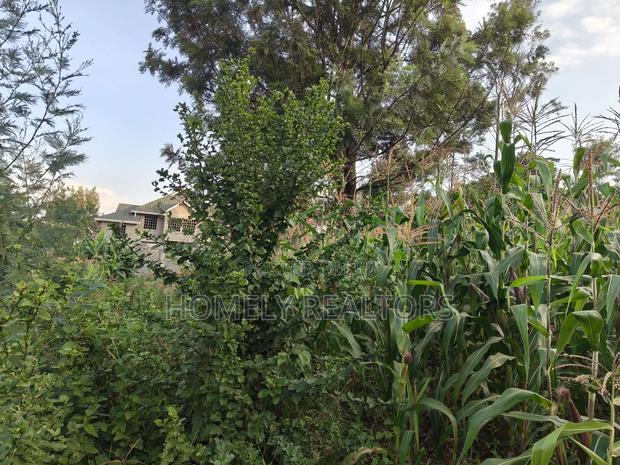 Affordable Eighth Acre Plot for Sale in Kerarapon Drive. Red Soil Land - thumbnail 3