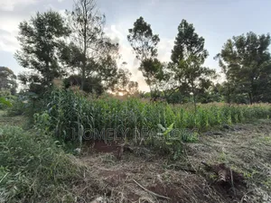 Affordable Eighth Acre Plot for Sale in Kerarapon Drive. Red Soil Land