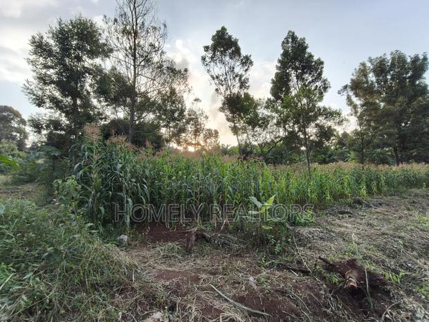 Affordable Eighth Acre Plot for Sale in Kerarapon Drive. Red Soil Land - thumbnail 4