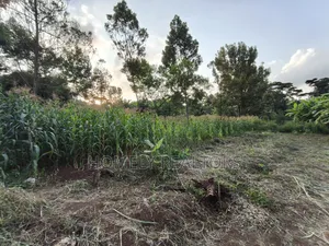 Affordable Eighth Acre Plot for Sale in Kerarapon Drive. Red Soil Land