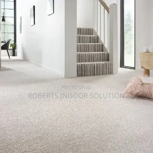 Soft Feel Wall to Wall Carpet