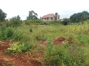 Plot for Sale