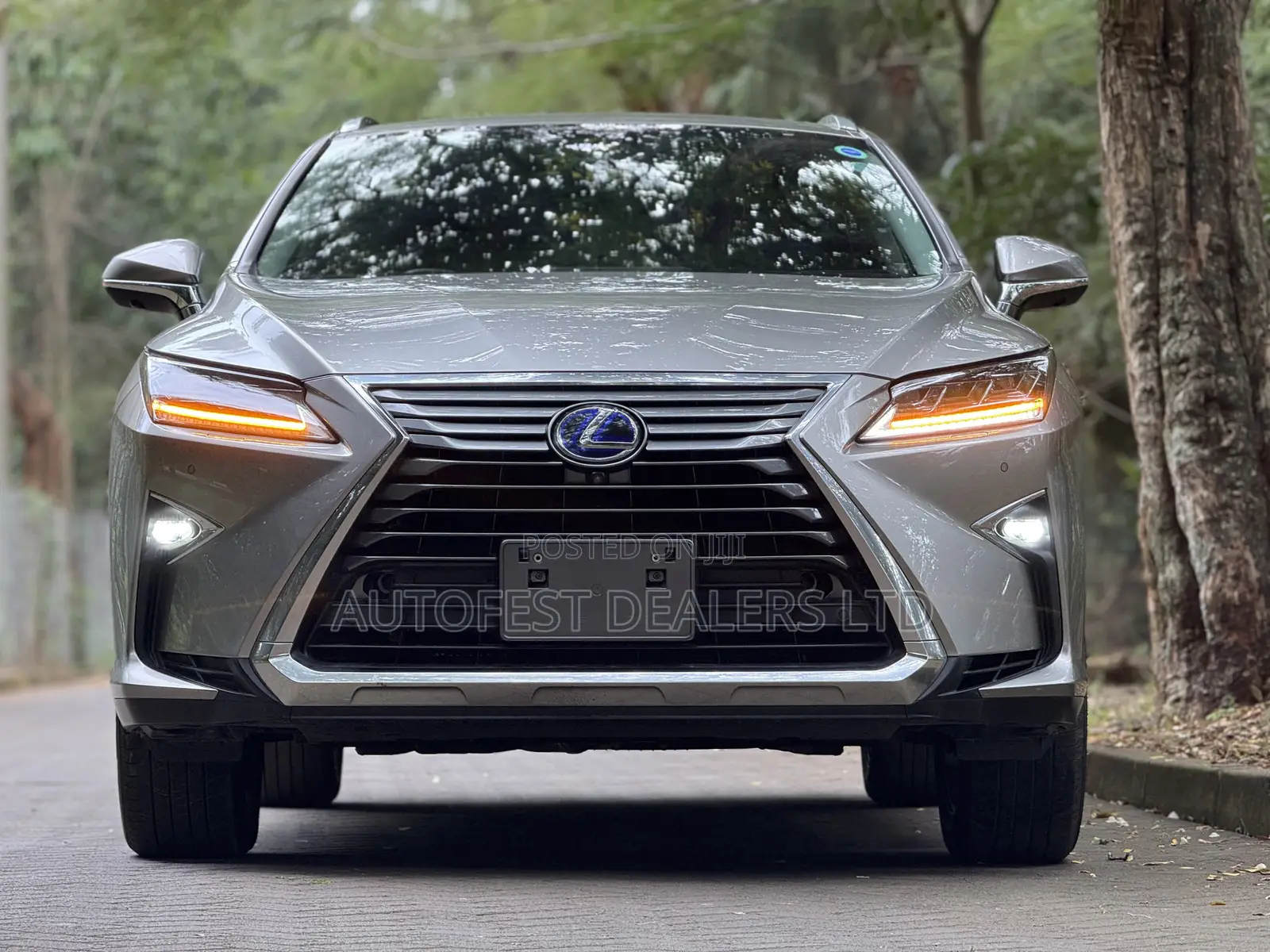 Lexus RX 2019 Silver