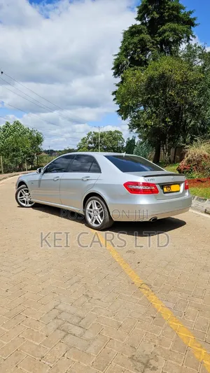 Mercedes-Benz E250 2009 Silver