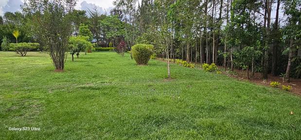 20 Acres With Modern 5-Bedroom Home – Kaplelach Kiplombe, Eldoret - thumbnail 5