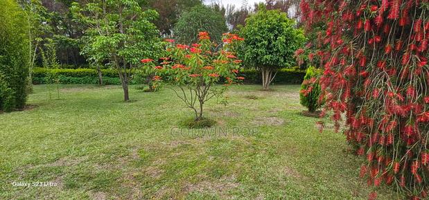 20 Acres With Modern 5-Bedroom Home – Kaplelach Kiplombe, Eldoret - thumbnail 6