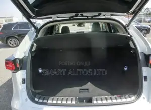 Lexus NX 2019 White