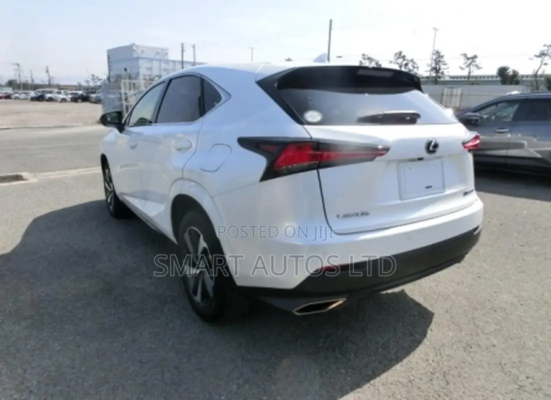 Lexus NX 2019 White