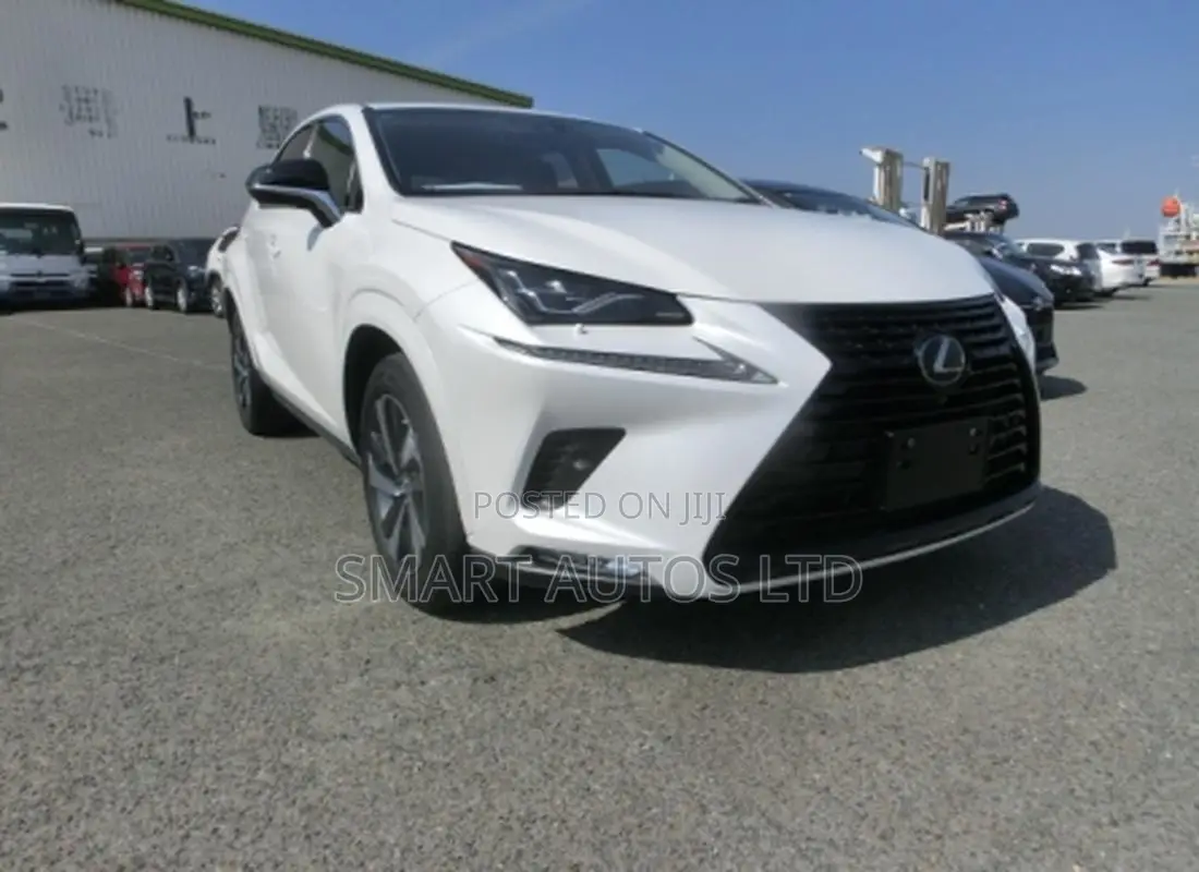 Lexus NX 2019 White