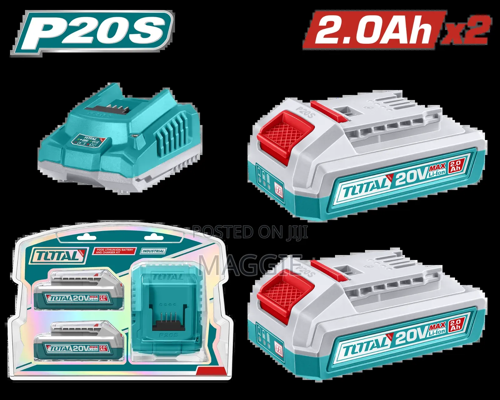 P20s Lithium Ion Battery Charger Kit