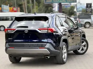 Toyota RAV4 LE AWD 2019 Blue