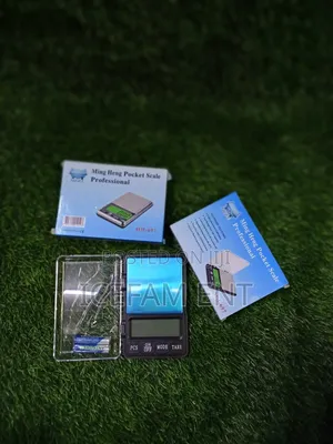 Professional Pocket Scale/0.1-1kg Mh697 Pocket Scale
