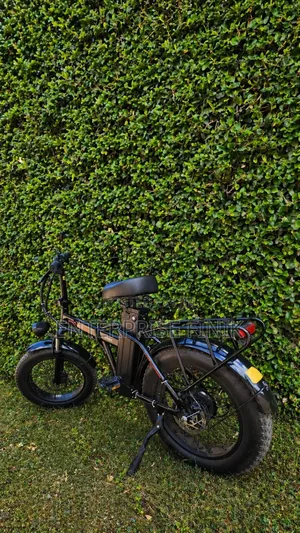 Electric Bike