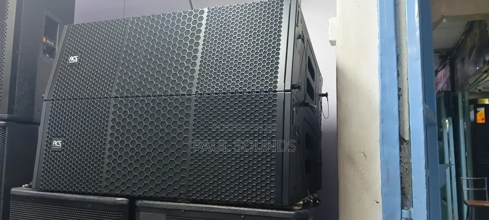 Acs Professional Dual Line Array Loudspeaker System