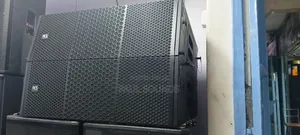 Acs Professional Dual Line Array Loudspeaker System