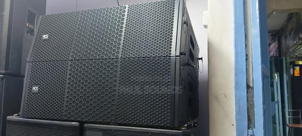 Acs Professional Dual Line Array Loudspeaker System