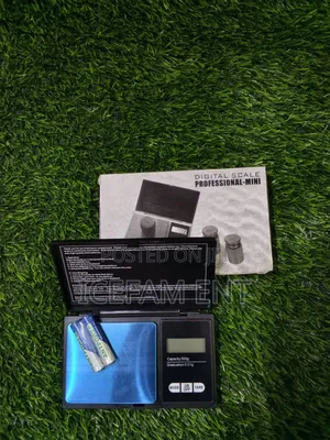 Professional Mini Scale/0.01-500g Pocket Scale