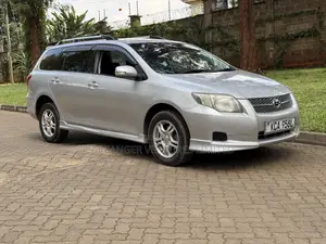 Toyota Corolla Fielder 2007 Silver