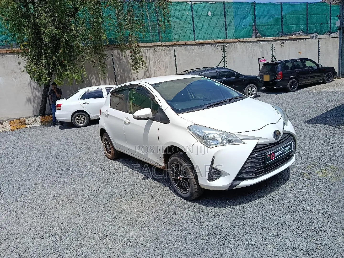 Toyota Vitz 2019 White