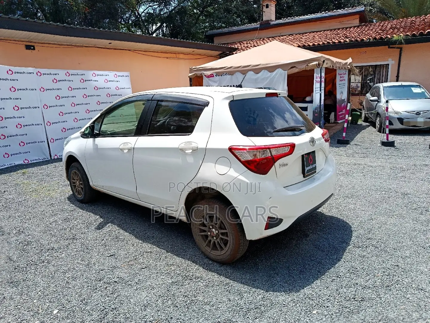 Toyota Vitz 2019 White