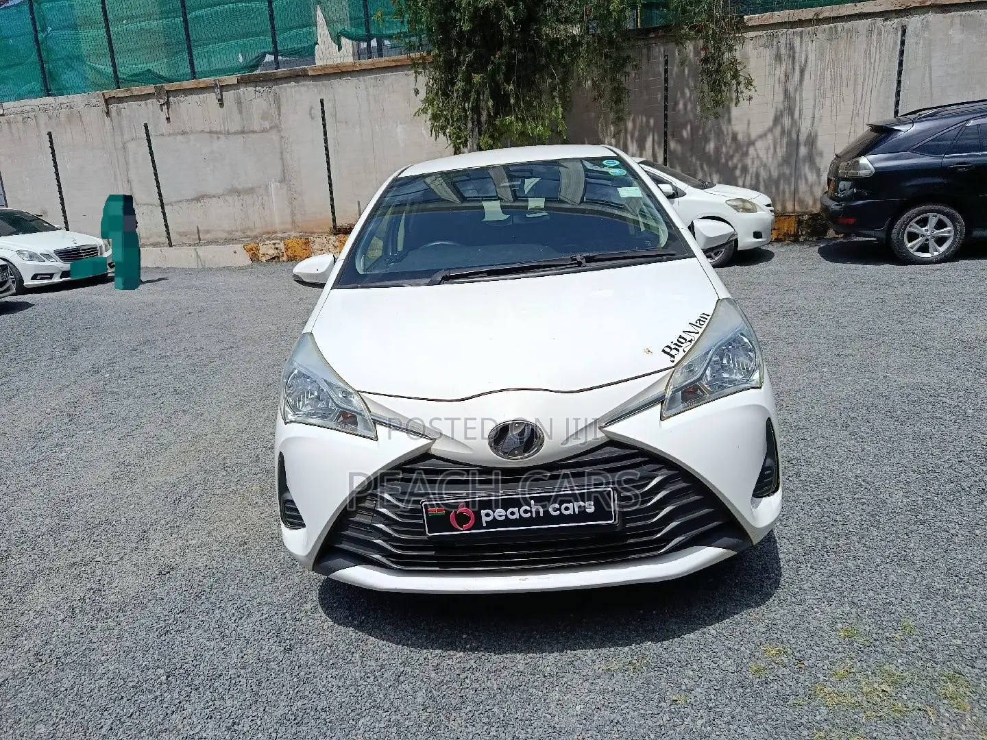 Toyota Vitz 2019 White