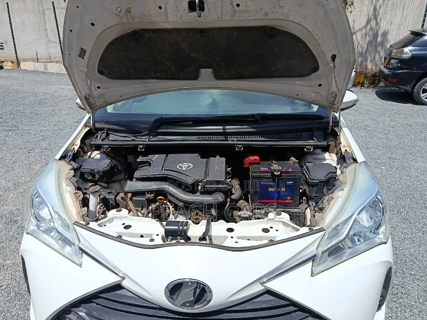 Toyota Vitz 2019 White