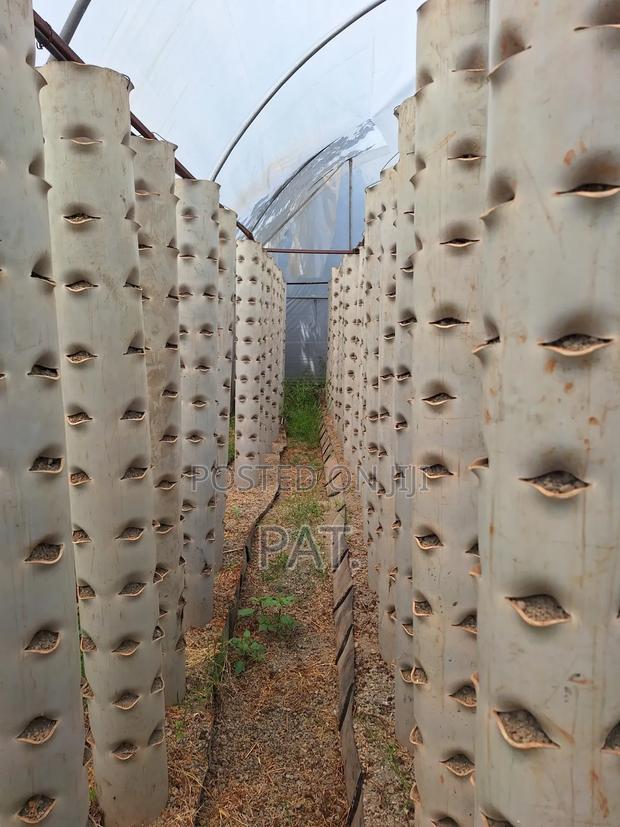 Greenhouse With Hydroponic Towers - thumbnail 2