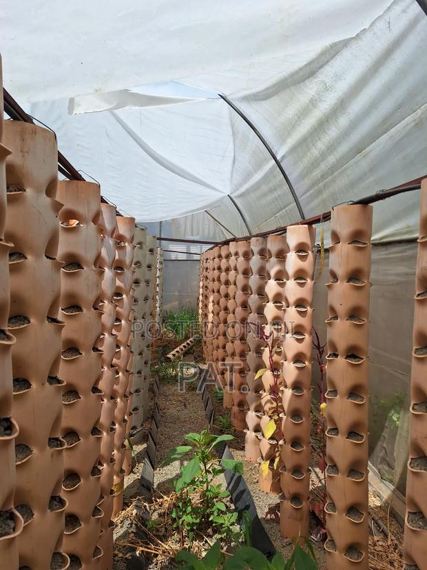 Greenhouse With Hydroponic Towers - thumbnail 3