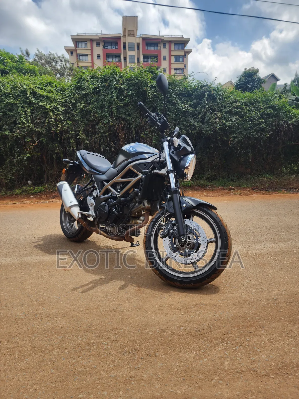 Suzuki SFV650 2024 Black