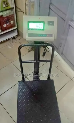 Heavy Duty Digital Platform Scale A12/Top 150kg Weighing Scale