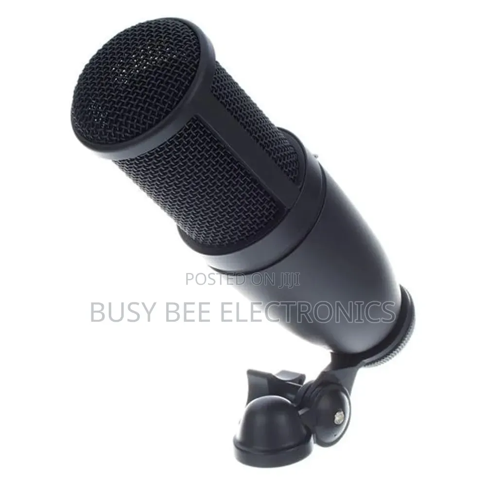P120 Large-Diaphragm Cardioid Condenser Microphone for Vocalsrecording