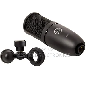 P120 Large-Diaphragm Cardioid Condenser Microphone for Vocalsrecording