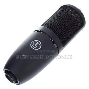 P120 Large-Diaphragm Cardioid Condenser Microphone for Vocalsrecording