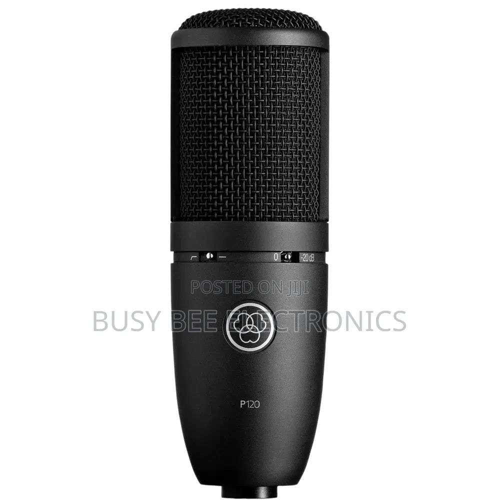 P120 Large-Diaphragm Cardioid Condenser Microphone for Vocalsrecording