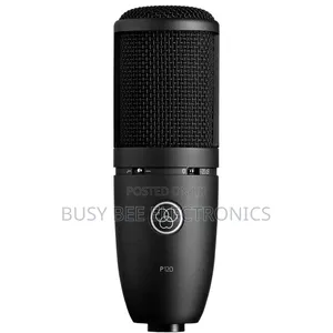 P120 Large-Diaphragm Cardioid Condenser Microphone for Vocalsrecording