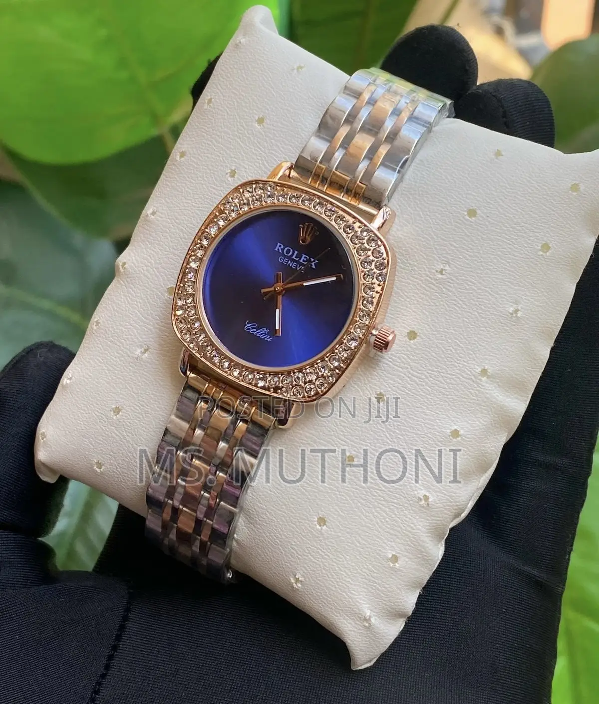 Ladies Premium Collection; Rolex Cellini Ladies'