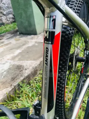 Giant Bicycle