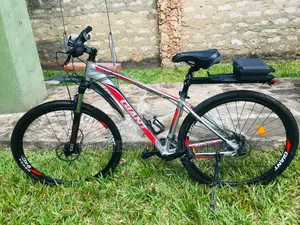 Giant Bicycle
