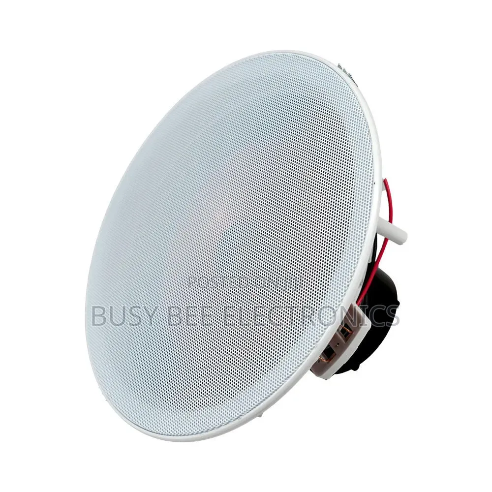 20w Speaker for Ceiling