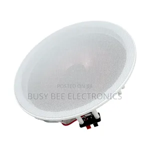 20w Speaker for Ceiling