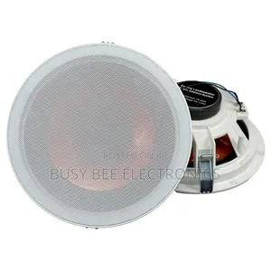20w Speaker for Ceiling