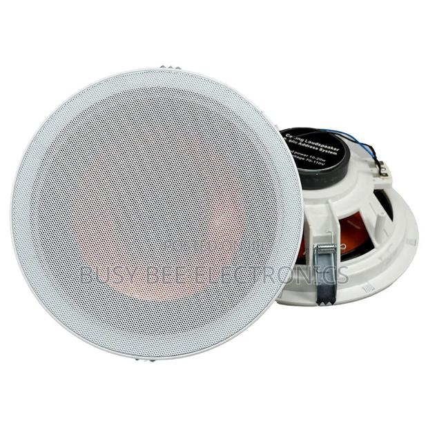 20w Speaker for Ceiling - thumbnail 3